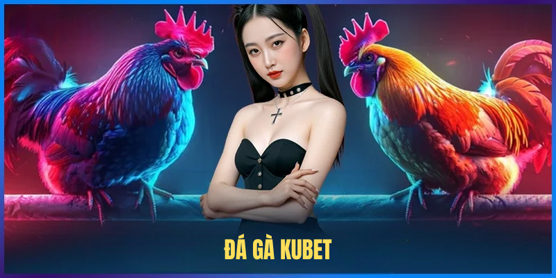 Đá Gà KUBET – Cá Cược Kịch Tính & Luật Chơi Chi Tiết 2025